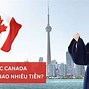 Du Học Canada Bậc Đại Học