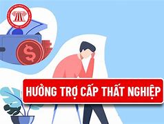 Ở Việt Nam Có Trợ Cấp Thất Nghiệp Không