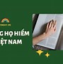 Việt Nam Hiện Tại Có Bao Nhiêu Tiến Sĩ